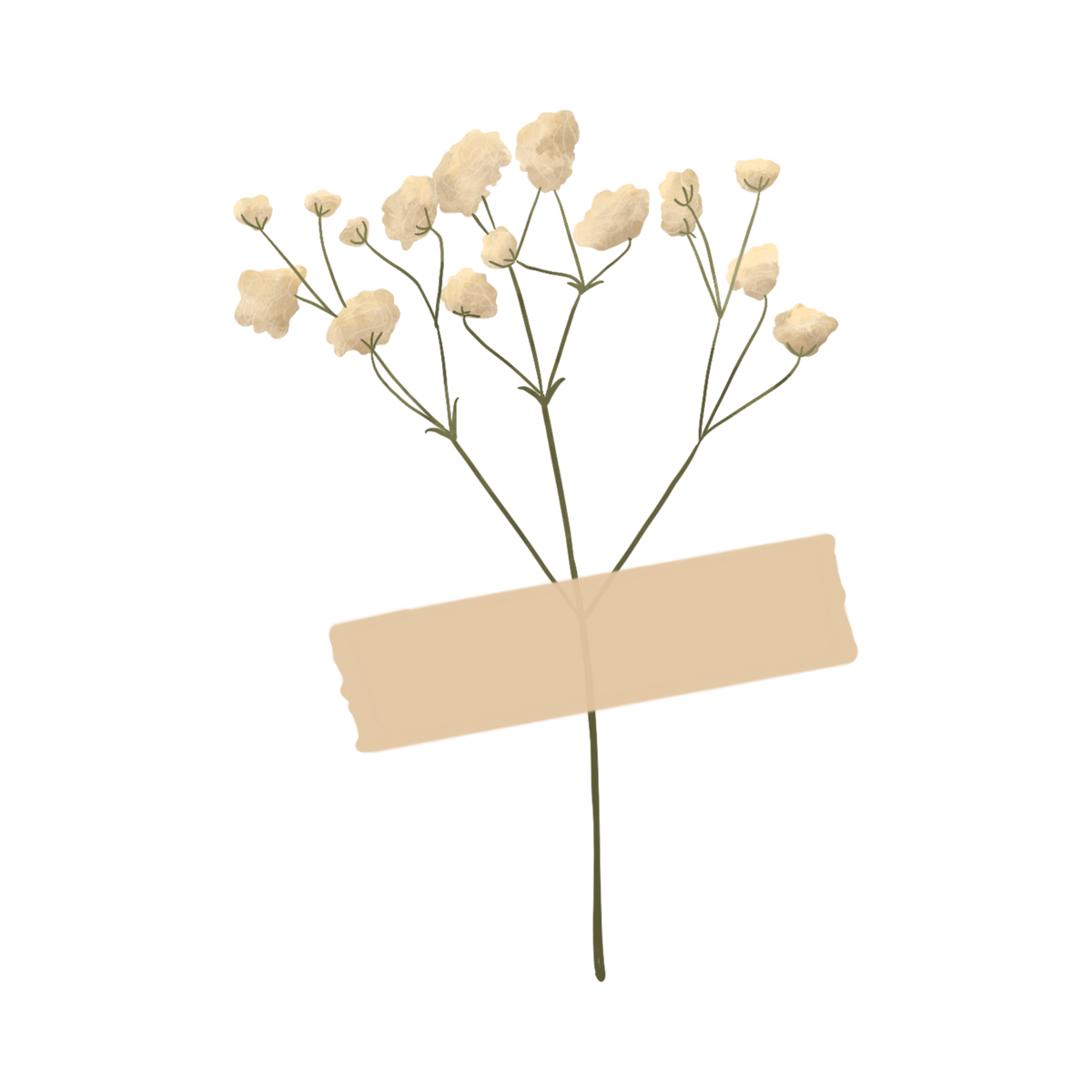 sticker_aileen_hahn