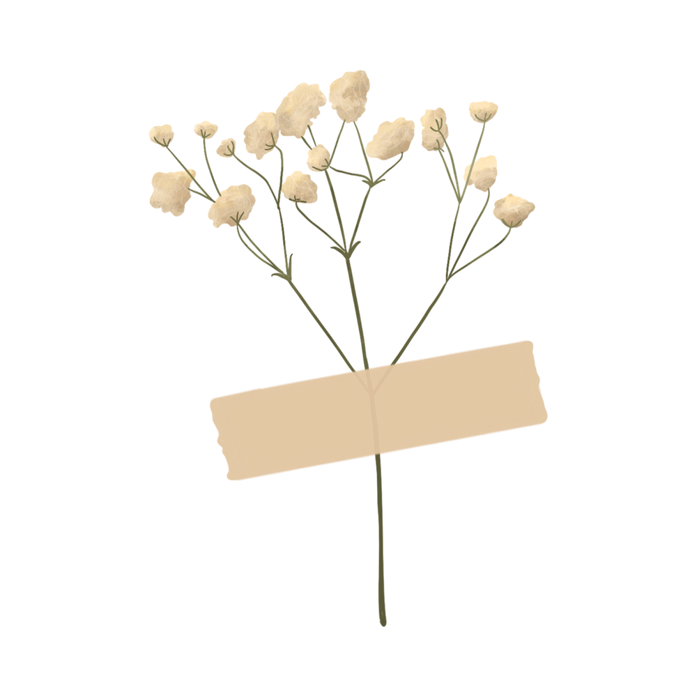sticker_aileen_hahn