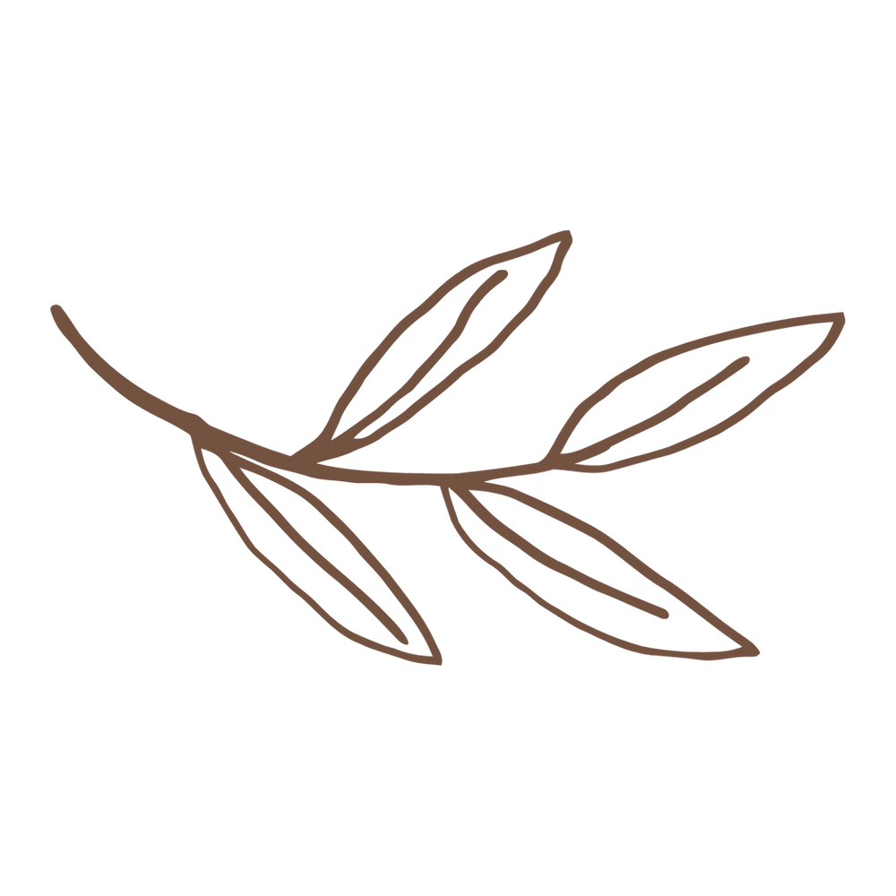logo_aileen_hahn